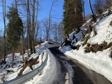 Walen Gölü veya Walenstadt Gölü (Walensee) ve İsviçre Alpleri 'nde (Walenstadtberg) kırsal alp yolu boyunca uzanan kar yağışı - İsviçre' nin St. Gallen Kantonu (Schweiz)
