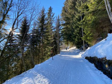 Walen Gölü veya Walenstadt Gölü (Walensee) ve İsviçre Alpleri 'nde (Walenstadtberg) kırsal alp yolu boyunca uzanan kar yağışı - İsviçre' nin St. Gallen Kantonu (Schweiz)