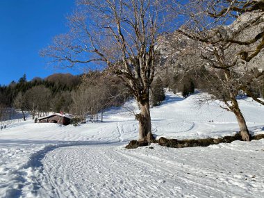 Walen Gölü veya Walenstadt Gölü (Walensee) ve İsviçre Alpleri 'nde (Walenstadtberg) kırsal alp yolu boyunca uzanan kar yağışı - İsviçre' nin St. Gallen Kantonu (Schweiz)