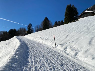 Walen Gölü veya Walenstadt Gölü (Walensee) ve İsviçre Alpleri 'nde (Walenstadtberg) kırsal alp yolu boyunca uzanan kar yağışı - İsviçre' nin St. Gallen Kantonu (Schweiz)