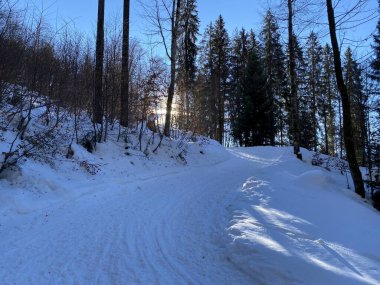 Walen Gölü veya Walenstadt Gölü (Walensee) ve İsviçre Alpleri 'nde (Walenstadtberg) kırsal alp yolu boyunca uzanan kar yağışı - İsviçre' nin St. Gallen Kantonu (Schweiz)