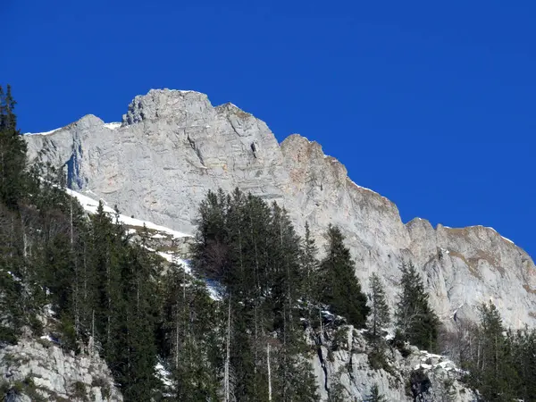 Walensee Gölü ve İsviçre 'nin Walenstadtberg kasabası (Die Steilen Felsgipfel der Churfirst stengruppe des Walensee, Schweiz) üzerindeki Churfirsten dağ sırasının dik kayalıkları.)