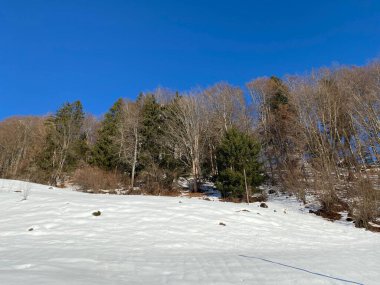 Walen Gölü ya da Walenstadt Gölü (Walensee) ve İsviçre Alpleri 'nde (Schweiz)