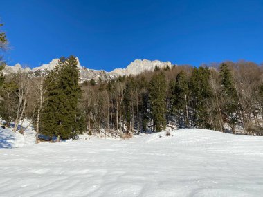 Walen Gölü ya da Walenstadt Gölü (Walensee) ve İsviçre Alpleri 'nde (Schweiz)