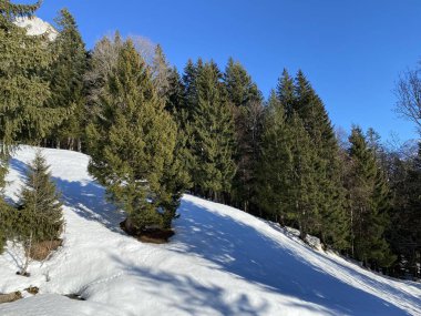 Walen Gölü ya da Walenstadt Gölü (Walensee) ve İsviçre Alpleri 'nde (Schweiz)