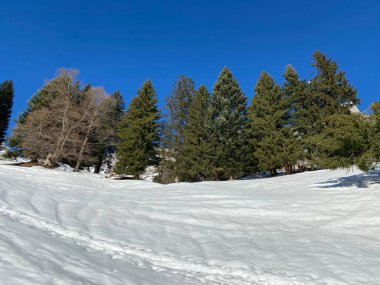 Walen Gölü ya da Walenstadt Gölü (Walensee) ve İsviçre Alpleri 'nde (Schweiz)