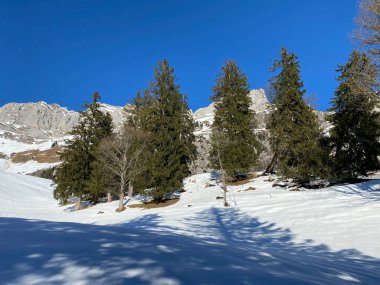 Walen Gölü ya da Walenstadt Gölü (Walensee) ve İsviçre Alpleri 'nde (Schweiz)