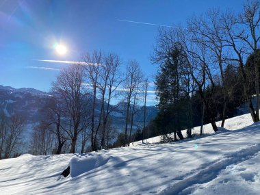 Walen Gölü ya da Walenstadt Gölü (Walensee) ve İsviçre Alpleri 'nde (Schweiz)