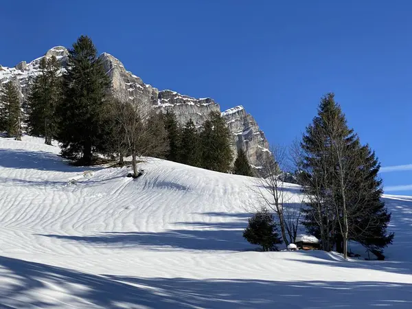 Walen Gölü ya da Walenstadt Gölü (Walensee) ve İsviçre Alpleri 'nde (Schweiz)