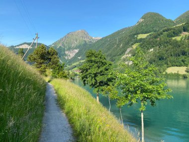 Lungern Gölü ya da Lungernsee doğal rezervuarı boyunca gezinme yerleri - İsviçre 'nin Obwald Kantonu (Spazierwege entlang des Lungererses - Kanton Obwalden, Schweiz)