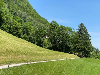 Lungern Gölü ya da Lungernsee doğal rezervuarı boyunca gezinme yerleri - İsviçre 'nin Obwald Kantonu (Spazierwege entlang des Lungererses - Kanton Obwalden, Schweiz)