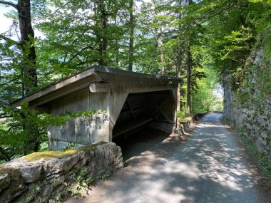 Lungern Gölü ya da Lungernsee doğal rezervuarı boyunca gezinme yerleri - İsviçre 'nin Obwald Kantonu (Spazierwege entlang des Lungererses - Kanton Obwalden, Schweiz)
