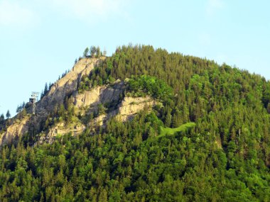 Lungern Gölü 'nün yukarısındaki Alp dağları veya Lungernsee doğal rezervuarı üzerindeki karışık orman - İsviçre' nin Obwald Kantonu (Alpenberberge und Mischwald oberhalb des Naturstausee Lungererses - Schweiz)