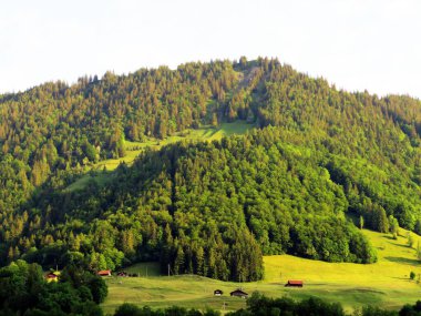 Lungern Gölü 'nün yukarısındaki Alp dağları veya Lungernsee doğal rezervuarı üzerindeki karışık orman - İsviçre' nin Obwald Kantonu (Alpenberberge und Mischwald oberhalb des Naturstausee Lungererses - Schweiz)