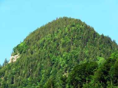 Lungern Gölü 'nün yukarısındaki Alp dağları veya Lungernsee doğal rezervuarı üzerindeki karışık orman - İsviçre' nin Obwald Kantonu (Alpenberberge und Mischwald oberhalb des Naturstausee Lungererses - Schweiz)