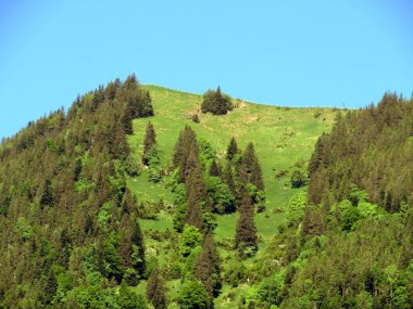 Lungern Gölü 'nün yukarısındaki Alp dağları veya Lungernsee doğal rezervuarı üzerindeki karışık orman - İsviçre' nin Obwald Kantonu (Alpenberberge und Mischwald oberhalb des Naturstausee Lungererses - Schweiz)