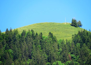 Lungern Gölü 'nün yukarısındaki Alp dağları veya Lungernsee doğal rezervuarı üzerindeki karışık orman - İsviçre' nin Obwald Kantonu (Alpenberberge und Mischwald oberhalb des Naturstausee Lungererses - Schweiz)