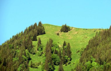 Lungern Gölü 'nün yukarısındaki Alp dağları veya Lungernsee doğal rezervuarı üzerindeki karışık orman - İsviçre' nin Obwald Kantonu (Alpenberberge und Mischwald oberhalb des Naturstausee Lungererses - Schweiz)