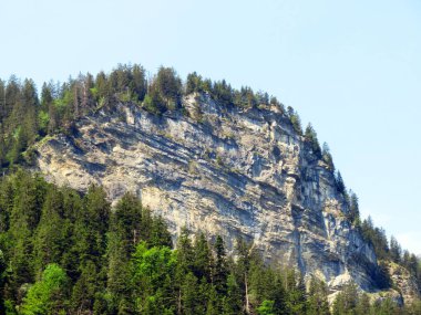 Lungern Gölü 'nün yukarısındaki Alp dağları veya Lungernsee doğal rezervuarı üzerindeki karışık orman - İsviçre' nin Obwald Kantonu (Alpenberberge und Mischwald oberhalb des Naturstausee Lungererses - Schweiz)