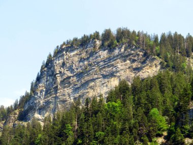 Lungern Gölü 'nün yukarısındaki Alp dağları veya Lungernsee doğal rezervuarı üzerindeki karışık orman - İsviçre' nin Obwald Kantonu (Alpenberberge und Mischwald oberhalb des Naturstausee Lungererses - Schweiz)