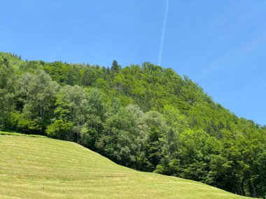 Lungern Gölü 'nün yukarısındaki Alp dağları veya Lungernsee doğal rezervuarı üzerindeki karışık orman - İsviçre' nin Obwald Kantonu (Alpenberberge und Mischwald oberhalb des Naturstausee Lungererses - Schweiz)