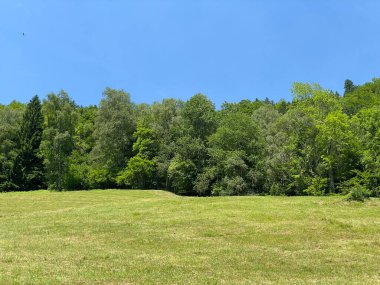Lungernsee Gölü kıyısındaki Alp çayır otlakları - İsviçre 'nin Obwald Kantonu (Almwiesen entlang des Naturstausee Lungererses - Kanton Obwald, Schweiz)