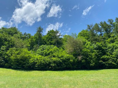 Lungernsee Gölü kıyısındaki Alp çayır otlakları - İsviçre 'nin Obwald Kantonu (Almwiesen entlang des Naturstausee Lungererses - Kanton Obwald, Schweiz)