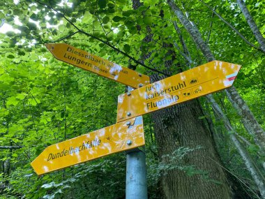 Lungernsee Gölü 'nün yamaçlarında ve Lungern Gölü çevresindeki Alp tepelerinin yamaçlarında - Obwalden Kantonu, İsviçre (Kanton Obwald, Schweiz)