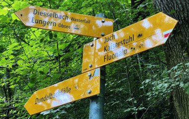 Lungernsee Gölü 'nün yamaçlarında ve Lungern Gölü çevresindeki Alp tepelerinin yamaçlarında - Obwalden Kantonu, İsviçre (Kanton Obwald, Schweiz)