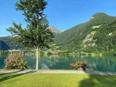 Lungern Adası, Lungern Gölü ya da Lungerensee Kantonu - İsviçre Obwalden Kantonu (Inseli Lungern aus der Vogelperspective am Lungernsee - Kanton Obwald, Schweiz)