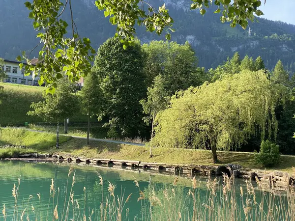 Lungern Adası, Lungern Gölü ya da Lungerensee Kantonu - İsviçre Obwalden Kantonu (Inseli Lungern aus der Vogelperspective am Lungernsee - Kanton Obwald, Schweiz)