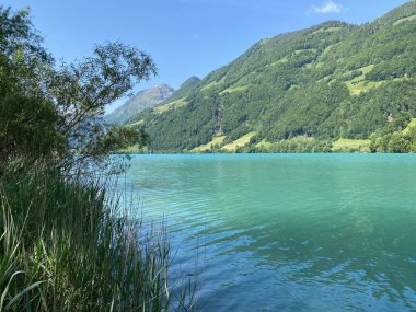 Lungern Gölü veya Doğal Rezervuar Lungerersee - İsviçre Obwald Kantonu (Naturstausee Lungernsee oder Lungerensee - Kanton Obwald, Schweiz)