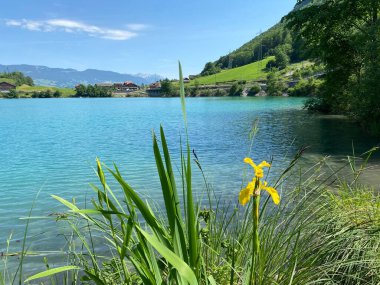 Lungern Gölü veya Doğal Rezervuar Lungerersee - İsviçre Obwald Kantonu (Naturstausee Lungernsee oder Lungerensee - Kanton Obwald, Schweiz)