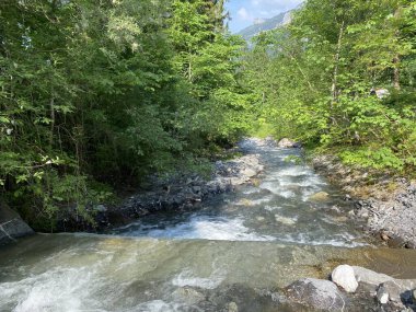Alp nehri Lauibach, Lungern Gölü - Canton Obwalden, İsviçre (Alpenbach Lauibach, Nebenfluss des Lungernsees - Kanton Obwald, Schweiz)