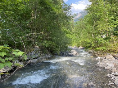 Alp nehri Lauibach, Lungern Gölü - Canton Obwalden, İsviçre (Alpenbach Lauibach, Nebenfluss des Lungernsees - Kanton Obwald, Schweiz)