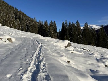 İsviçre Alpleri 'nin taze dağlık kar örtüsünde ve İsviçre' nin Grisonlar Kantonu (Kanton Graubuenden, Schweiz)