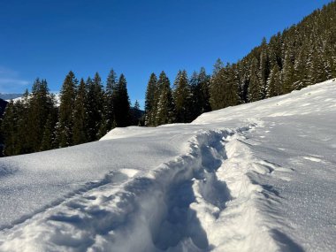 İsviçre Alpleri 'nin taze dağlık kar örtüsünde ve İsviçre' nin Grisonlar Kantonu (Kanton Graubuenden, Schweiz)