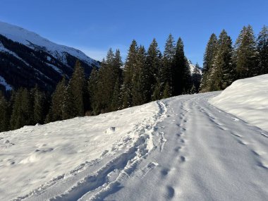 İsviçre Alpleri 'nin taze dağlık kar örtüsünde ve İsviçre' nin Grisonlar Kantonu (Kanton Graubuenden, Schweiz)