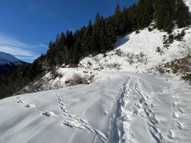 İsviçre Alpleri 'nin taze dağlık kar örtüsünde ve İsviçre' nin Grisonlar Kantonu (Kanton Graubuenden, Schweiz)