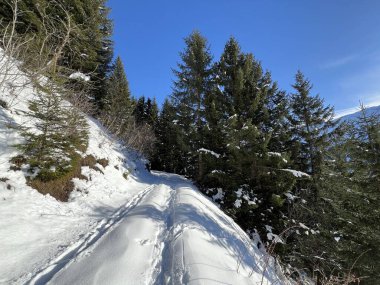 İsviçre Alpleri 'nin taze dağlık kar örtüsünde ve İsviçre' nin Grisonlar Kantonu (Kanton Graubuenden, Schweiz)