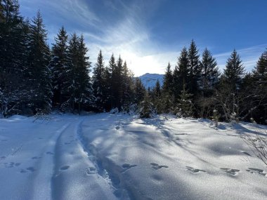 İsviçre Alpleri 'nin taze dağlık kar örtüsünde ve İsviçre' nin Grisonlar Kantonu (Kanton Graubuenden, Schweiz)