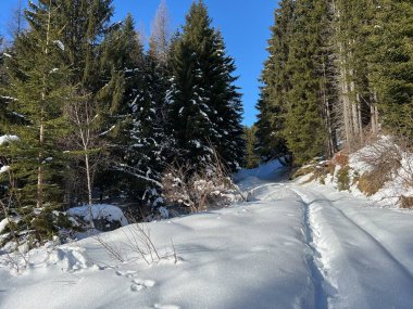 İsviçre Alpleri 'nin taze dağlık kar örtüsünde ve İsviçre' nin Grisonlar Kantonu (Kanton Graubuenden, Schweiz)