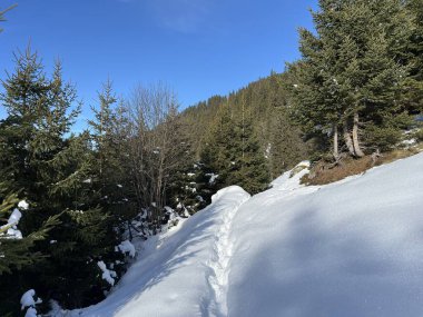 İsviçre Alpleri 'nin taze dağlık kar örtüsünde ve İsviçre' nin Grisonlar Kantonu (Kanton Graubuenden, Schweiz)