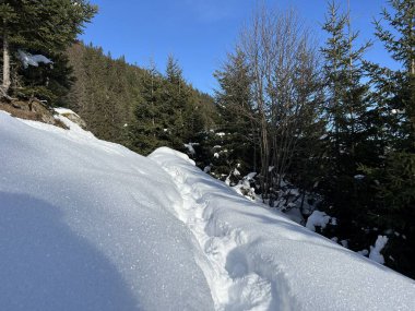 İsviçre Alpleri 'nin taze dağlık kar örtüsünde ve İsviçre' nin Grisonlar Kantonu (Kanton Graubuenden, Schweiz)