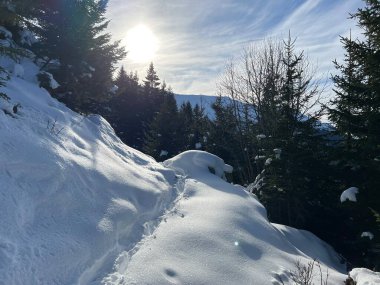 İsviçre Alpleri 'nin taze dağlık kar örtüsünde ve İsviçre' nin Grisonlar Kantonu (Kanton Graubuenden, Schweiz)