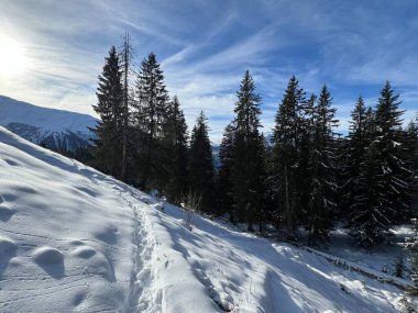 İsviçre Alpleri 'nin taze dağlık kar örtüsünde ve İsviçre' nin Grisonlar Kantonu (Kanton Graubuenden, Schweiz)