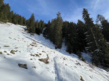 İsviçre Alpleri 'nin taze dağlık kar örtüsünde ve İsviçre' nin Grisonlar Kantonu (Kanton Graubuenden, Schweiz)