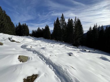 İsviçre Alpleri 'nin taze dağlık kar örtüsünde ve İsviçre' nin Grisonlar Kantonu (Kanton Graubuenden, Schweiz)