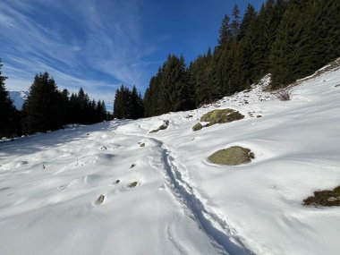 İsviçre Alpleri 'nin taze dağlık kar örtüsünde ve İsviçre' nin Grisonlar Kantonu (Kanton Graubuenden, Schweiz)