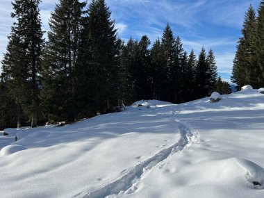 İsviçre Alpleri 'nin taze dağlık kar örtüsünde ve İsviçre' nin Grisonlar Kantonu (Kanton Graubuenden, Schweiz)